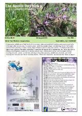 Thumbnail - The Apollo Bay news.