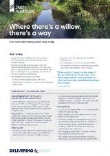 Thumbnail - Where there's a willow, there's a way.