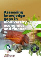 Thumbnail - Assessing knowledge gaps in biodiversity economics and finance : A preliminary report.