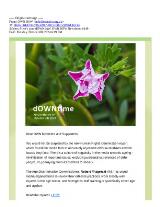 Thumbnail - dOWNtime : OWN NSW Newsletter.