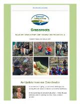 Thumbnail - Grassroots news and stories from Ginninderra Catchment Group