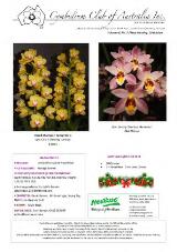 Thumbnail - Cymbid news