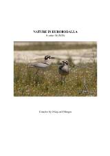 Thumbnail - Nature in Eurobodalla