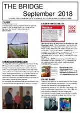 Thumbnail - The Bridge.