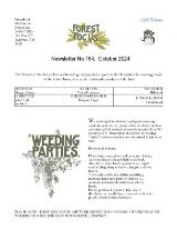 Thumbnail - Forest Focus