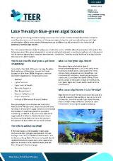 Thumbnail - Lake Trevallyn blue-green algal blooms : Fact sheet.