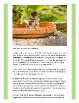 Thumbnail - dOWNtime : OWN NSW Newsletter.