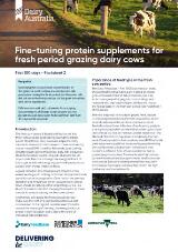 Thumbnail - Fine-tuning protein supplements for fresh period grazing dairy cows.