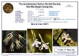 Thumbnail - The Australian Native Orchid Society, Waringah Group Inc. [bulletin]