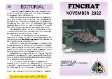 Thumbnail - Finchat