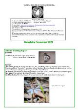 Thumbnail - Newsletter