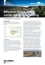Thumbnail - Effective design of a cattle shelter and loafing.