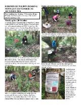 Thumbnail - Newsletter