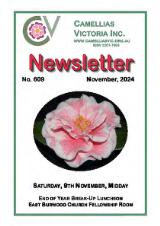 Thumbnail - Newsletter