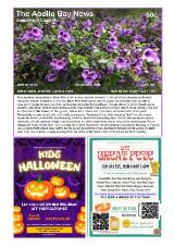 Thumbnail - The Apollo Bay news.