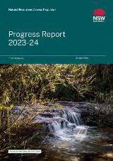 Thumbnail - NRAR Progress Reports.