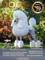 Thumbnail - Dogs New South Wales.