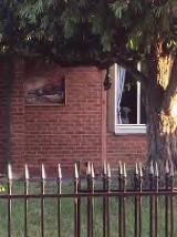 Thumbnail - Thankless.