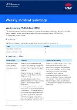 Thumbnail - Weekly incident summary.