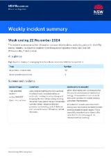 Thumbnail - Weekly incident summary.