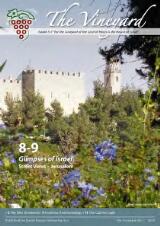 Thumbnail - The Vineyard.