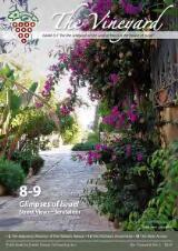 Thumbnail - The Vineyard.