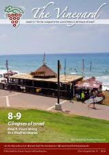 Thumbnail - The Vineyard.