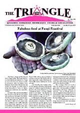 Thumbnail - The Triangle.