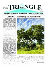 Thumbnail - The Triangle.