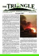Thumbnail - The Triangle.