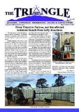 Thumbnail - The Triangle.