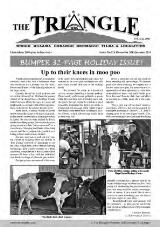 Thumbnail - The Triangle.