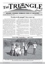 Thumbnail - The Triangle.