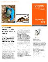 Thumbnail - Newsletter