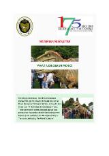 Thumbnail - Newsletter