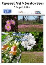 Thumbnail - Carnamah mat & Eneabba news.