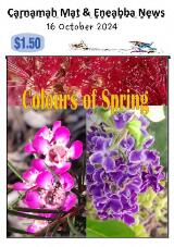 Thumbnail - Carnamah mat & Eneabba news.