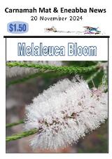 Thumbnail - Carnamah mat & Eneabba news.