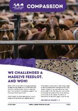 Thumbnail - Compassion.