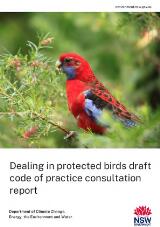 Thumbnail - Dealing in protected birds draft code of practice consultation report.