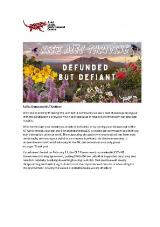 Thumbnail - Arid Lands Environment Centre newsletter : ALEC newsletter.