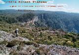 Thumbnail - Little Forest Plateau : a guide for bushwalkers, historians and nature lovers
