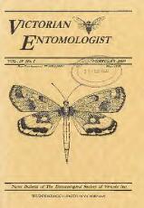 Thumbnail - Victorian entomologist.