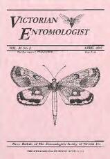 Thumbnail - Victorian entomologist.