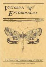 Thumbnail - Victorian entomologist.