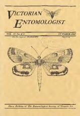 Thumbnail - Victorian entomologist.