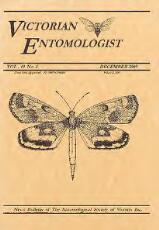 Thumbnail - Victorian entomologist.