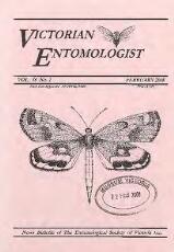 Thumbnail - Victorian entomologist.
