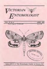 Thumbnail - Victorian entomologist.