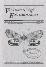 Thumbnail - Victorian entomologist.